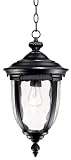 Bellagio™ 18 High Black Outdoor Hanging Light