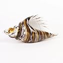 Badash Conch Shell 10" X 5"