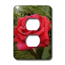 Flowers - Red HT Rose - Light Switch Covers - 2 plug outlet cover