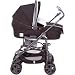 Baby : Inglesina Zippy Bassinet Lavagna