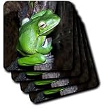 Frogs - Tree Frog - Coasters