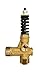 Annovi Reverberi VRT3-310A Pressure Washer Unloader, Brass