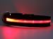 LED Leuchthalsband (Größe M / rot)