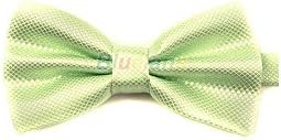 Multicolor Mens Polyester Solid Tuxedo Bowtie Wedding Shirt Suits Bow Tie Colour:Light Green