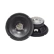 Pyle PPA8 Professional Premium Pa Woofer