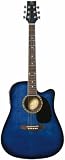 Acoustic-Electric Realm Series Blue Guitar