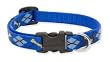 Lupine Small Dog Collar - Dapper Dog 10-16"