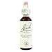 Bach Original Flower Remedies Wild Oat Bromus Ramosus 20ml Dropper