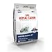 Pet Supplies : Royal Canin Feline Health Nutrition Indoor Mature 27, 2.5 lbs.