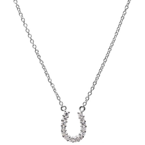 Candace’s “Sex and the City” Inspired Horseshoe Necklace – Medium