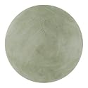 Syracuse vs. Colgate 5-02-2009 Game Used Lacrosse Ball - Other Items