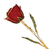 Long Stem Dipped 24k Gold Trim Red Rose In Gold Gift Box