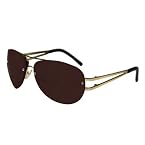BHPC - AI 1016 Col 201 Aviator Sunglasses
