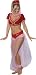 I Dream of Jeanie Delux Adult Costume