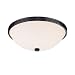 Capital Lighting 2 LIGHT CEILING FIXTURE