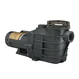 Hayward SP3015X202AZ Super II 2-Horsepower 2-Speed Pool Pump