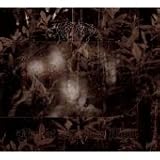 Live At Roadburn 2008