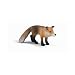 Toy Fox, 2.63 
