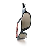 Bolle Sport Anaconda Sunglasses (Dark Tortoise/Polarized Axis)
