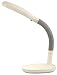 Grandrich® 27W Full Spectrum Desk Lamp