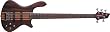 Washburn Taurus Series Basses (5 String, Mahogany)