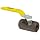 Dixon IBV25 Carbon Steel Ball Valve, 1/4" NPT Female