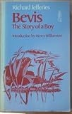 Bevis the story of a boy