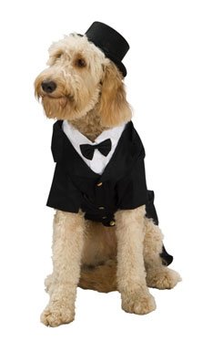 Dapper Dog Formal Tuxedo Pet Costume size XL