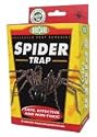 Spider Trap
