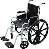 Drive Medical Polly-Wog Wheelchair/Transport Chair - Silver