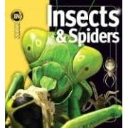Insects and Spiders (Insiders) by Noel Tait