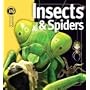 Insects & Spiders (Insiders)