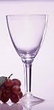 Classic 14 oz. Unbreakable Polycarbonate All Purpose Stem