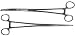 SE Forceps, Straight 12" + Curved 12"