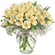 Floral Lilies - Peruvian Dream