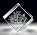 Snapdragon Laser Crystal
