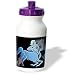 Zodiac Signs Horoscope - Sagittarius Zodiac Sign - Water Bottles