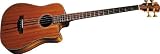 Fender Victor Bailey Signature Acoustic-Electric Bass, Natural