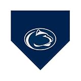 Penn State Nittany Lions NCAA Team Fleece Blanket/Throw (60x50)