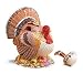 Kitchen & Housewares : Decorative Thanksgiving Turkey Soup Tureen With Ladle Beautiful Holiday Table Decor