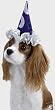 Little Wizard Dog Costume Hat Cap Large