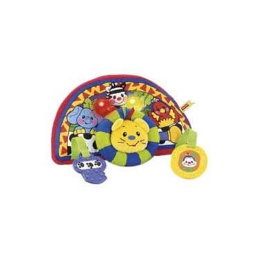 Fisher Price Car Seat Safari With Remote