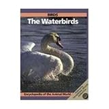 Birds : the waterbirds