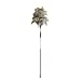 Ozzie Ostrich Duster with Telescopic Pole