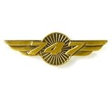747 Wing Pins