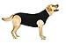 Recovery Suit for Dogs - Dog Surgery Recovery Suit with Clip-Up System - Breathable Fabric for Spay, Neuter, Skin Conditions, Incontinence -33-42 cm Neck to Tail - XXS Dog Suit by Suitical, Black