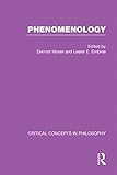 Phenomenology