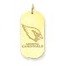 14K Arizona Cardinals Large Dog Tag w/Name & Logo
