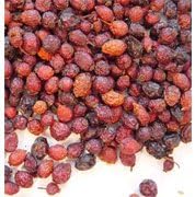 Rose Hips Whole - 1 lb,(San Francisco Herb Co)