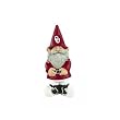 University of Oklahoma Garden Gnome